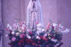 image50